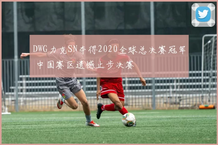 DWG力克SN夺得2020全球总决赛冠军 中国赛区遗憾止步决赛