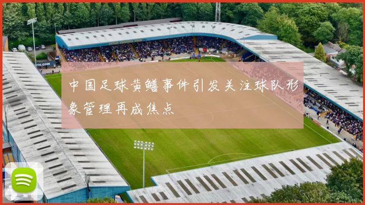 中国足球黄鳝事件引发关注球队形象管理再成焦点